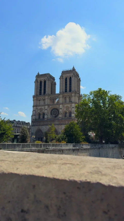 Notre-dame de paris cathedral standing against blue sky. Stock-Footage 343426392