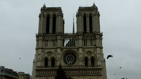 Notre Dame de Paris facade with birds Stock Footage 677555