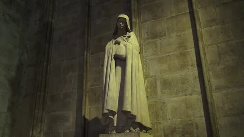 Notre Dame de Paris Stock Footage 106504703