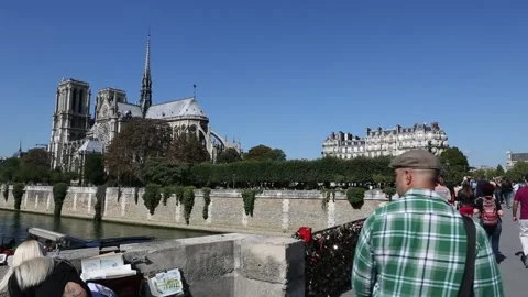 Notre Dame de Paris Stock Footage 203284501