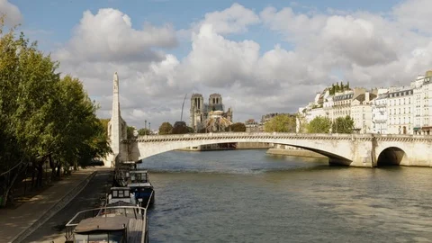 Notre Dame de Paris gate and rebuilt Stock Footage 119580931