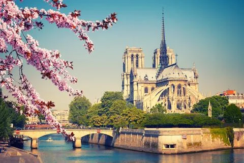 Notre Dame de Paris at spring Stockfoto's