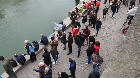 Notre Dame fire Aftermath Stock Footage 106477913