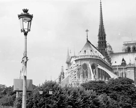 Notre-Dame in Paris Foto stock
