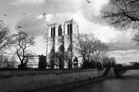 Notre dame 스톡 사진