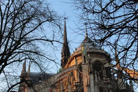 Notre dame Stock Photos