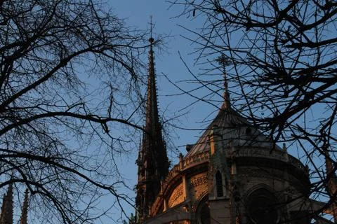 Notre dame Stock Photos