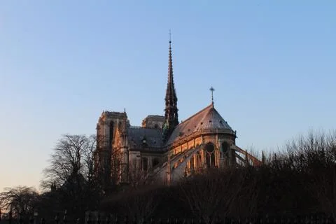 Notre dame Stock Photos