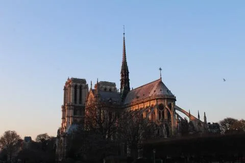 Notre dame Stock Photos
