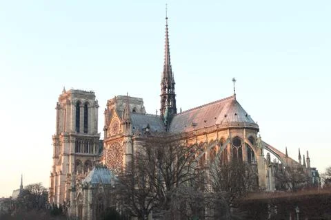 Notre dame Stock Photos