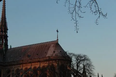 Notre dame Stock Photos
