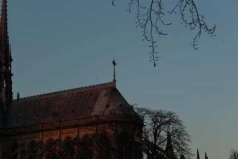 Notre dame Stock Photos
