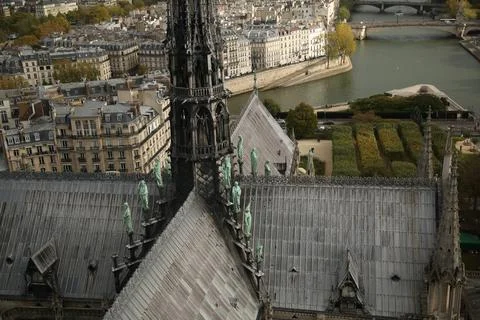 Notre-dame rooftop Stock Photos