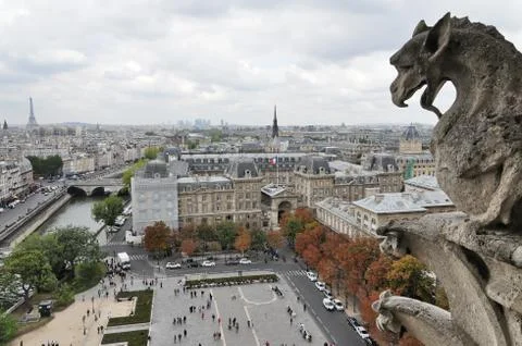 Notre dame's gargoyle Foto stock