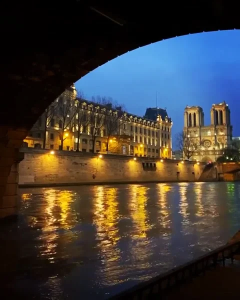 Notre.Dame.MArch.2021 Video stock 149948997