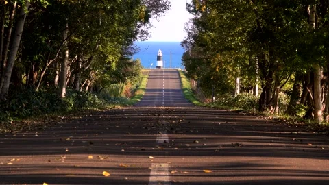 Notsuke Cape Lighthouse, Autumn Path, and the Sea of Okhotsk Video stock 332327977