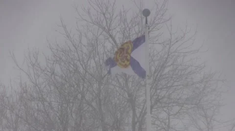 Nova Scotia Flag Blowing in a Blizzard Stock Footage 21334764