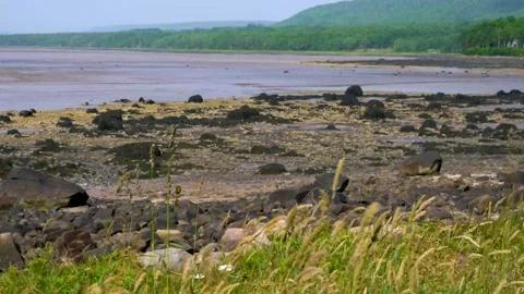 Nova Scotia Seascape Stock Footage 156452195