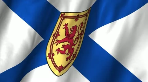 Nova Scotia Waving Flag Stock Footage 12359316