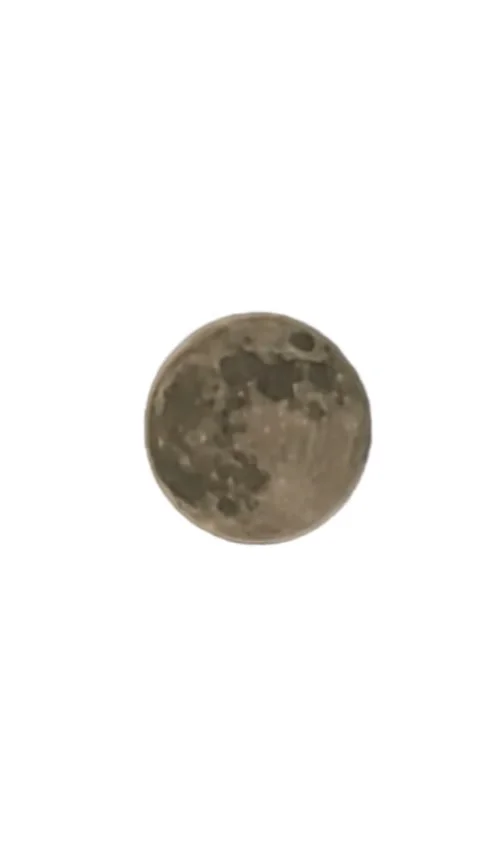 November 2023 Full Beaver Moon Close Up, Transplant Background. Stock Footage 256756112