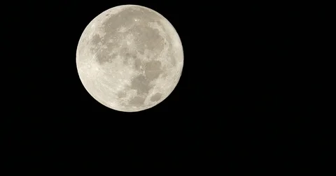 November Beaver Moon 99.8% Full.  Waning Gibbous. Video stock 82042967