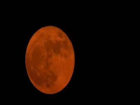November Beaver Moon Waning Gibbous Time Lapse Stock Footage