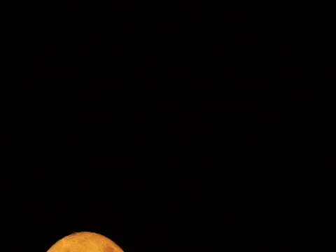 November Beaver Moon Waning Gibbous Time Lapse Stock Footage