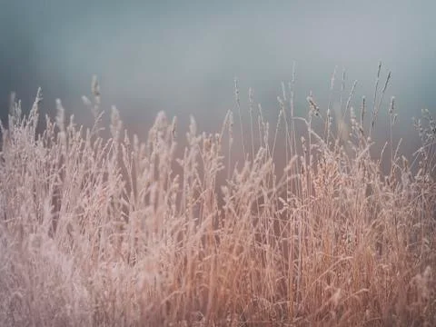 November Foto stock