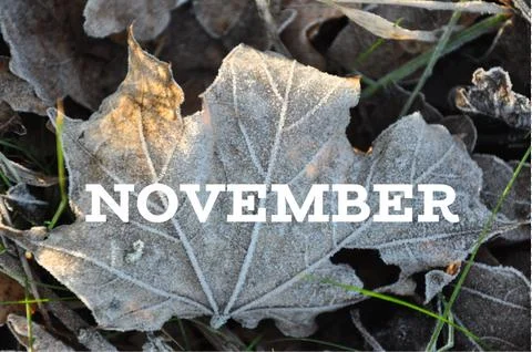 November Stock Photos