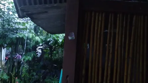 November rain Video stock 221812990