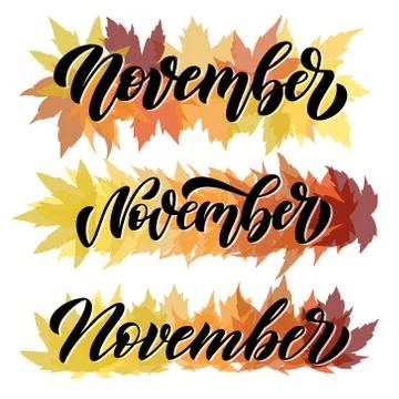 November, set of three script hand written compositions with decorative maple Stock Illustration