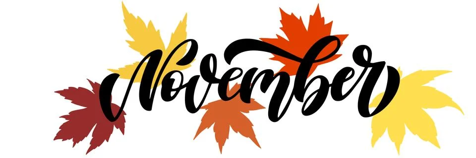 November, sleek script with sparse decorative maple leaves elements. Hand drawn Stock Illustration