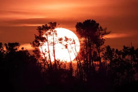 November sunset Stock Photos