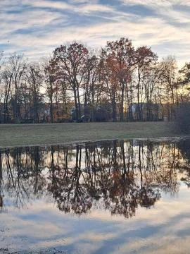 November trees and their reflection in calm water Stock Photos