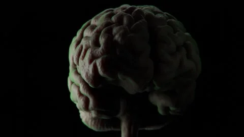 NOVO BRAIN | Novo brain visualization | brain visualization in 4K Stock Footage 334352013