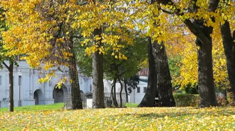 Novodevichy Convent 库存影片 10755748