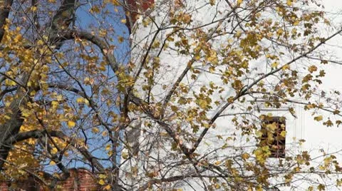 Novodevichy Convent Stock Footage