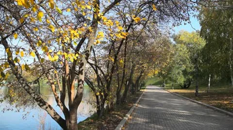 Novodevichy Convent  pond Stock Footage 10754069