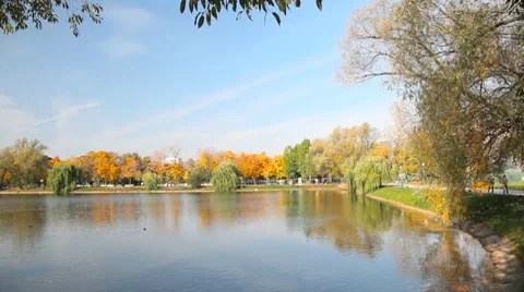 Novodevichy Convent pond 库存影片 10756173