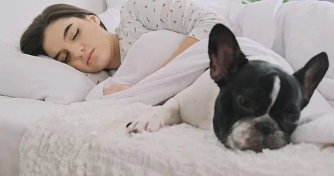 Now I am ready for bed too. Stock Footage 120380588