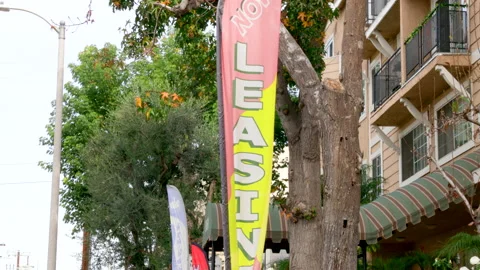 Now Leasing Sign Stock Footage 237843449