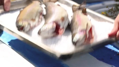 NQ  9999 101.mp4 Stock Footage 133749404