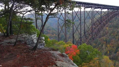 NRGB Stock Footage 8852537