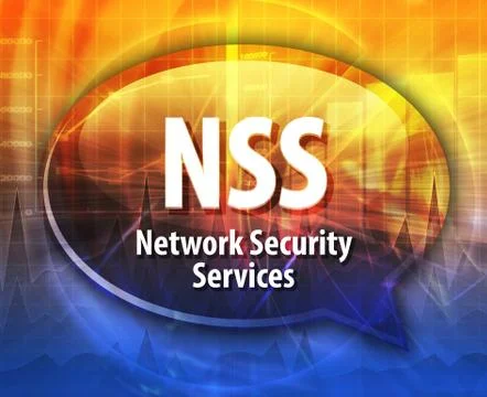 NSS acronym definition speech bubble illustration Stock Illustration