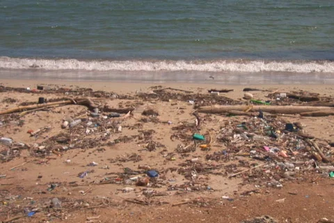 NTSC: Beach with pollution Stock Footage 153195