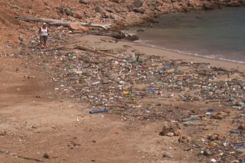 NTSC: Beach with pollution Stock Footage 153200