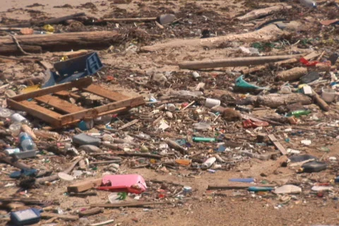 NTSC: Beach with pollution Stock Footage 153202