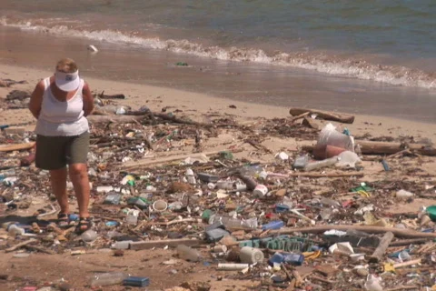 NTSC: Beach with pollution Stock Footage 153204