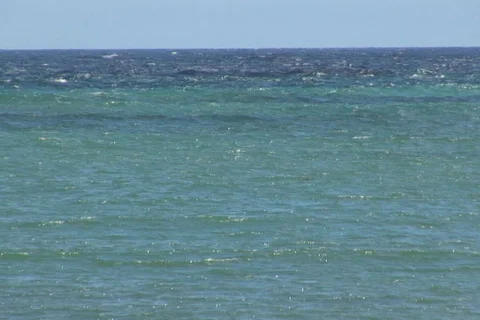 NTSC: Beach with pollution Stock Footage 153205