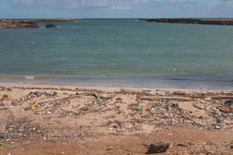 NTSC: Beach with pollution Stock Footage 153206